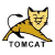 We speak Tomcat